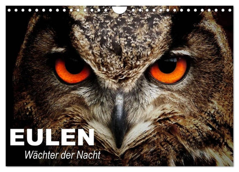 Eulen. Wächter der Nacht (Wandkalender 2027 DIN A4 quer), CALVENDO Monatskalender