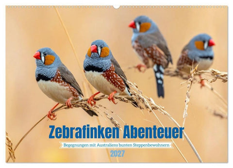 Zebrafinken Abenteuer (Wandkalender 2027 DIN A2 quer), CALVENDO Monatskalender