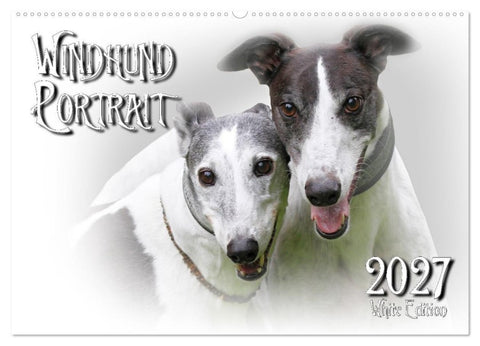 Windhund Portrait 2027 White Edition (Wandkalender 2027 DIN A2 quer), CALVENDO Monatskalender