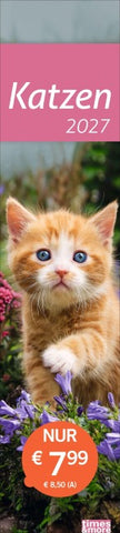 times&more Katzen Langplaner 2027