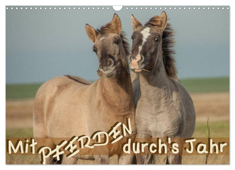 Mit Pferden durch´s Jahr (Wandkalender 2027 DIN A3 quer), CALVENDO Monatskalender