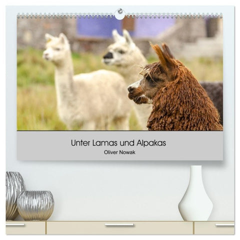 Unter Lamas und Alpakas (hochwertiger Premium Wandkalender 2027 DIN A2 quer), Kunstdruck in Hochglanz