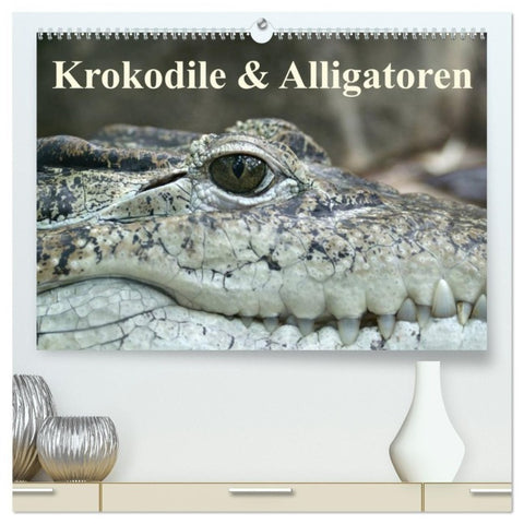 Krokodile & Alligatoren (hochwertiger Premium Wandkalender 2027 DIN A2 quer), Kunstdruck in Hochglanz