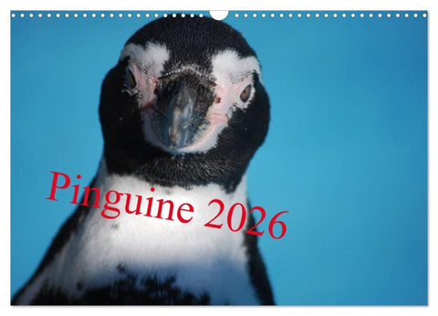 Pinguine 2026 (Wandkalender 2026 DIN A3 quer), CALVENDO Monatskalender