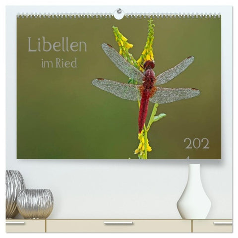 Libellen im Ried (hochwertiger Premium Wandkalender 2027 DIN A2 quer), Kunstdruck in Hochglanz
