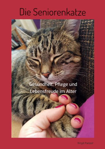 Die Seniorenkatze