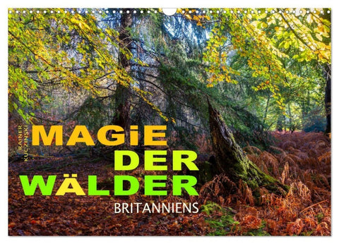 Magie der Wälder Britanniens (Wandkalender 2027 DIN A3 quer), CALVENDO Monatskalender