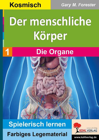 Der menschliche Körper / Die Organe