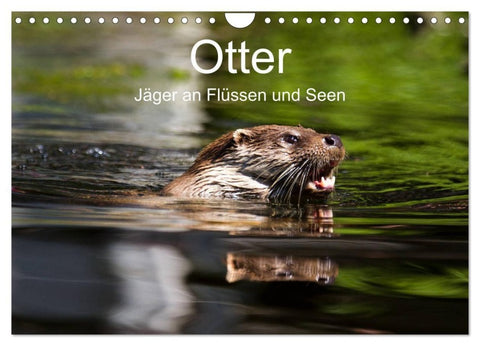 Otter - Jäger an Flüssen und Seen (Wandkalender 2027 DIN A4 quer), CALVENDO Monatskalender