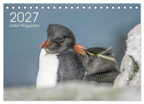 Unter Pinguinen (Tischkalender 2027 DIN A5 quer), CALVENDO Monatskalender