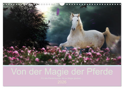Von der Magie der Pferde (Wandkalender 2026 DIN A3 quer), CALVENDO Monatskalender