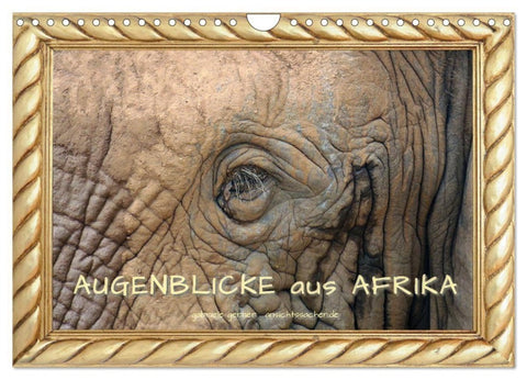 Augenblicke aus Afrika (Wandkalender 2027 DIN A4 quer), CALVENDO Monatskalender