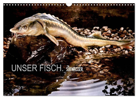UNSER FISCH. SÜßWASSER. (Wandkalender 2027 DIN A3 quer), CALVENDO Monatskalender