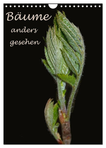 Bäume anders gesehen (Wandkalender 2027 DIN A4 hoch), CALVENDO Monatskalender