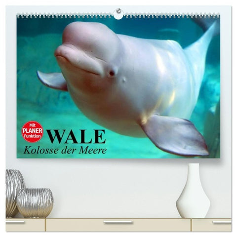 Wale. Kolosse der Meere (hochwertiger Premium Wandkalender 2026 DIN A2 quer), Kunstdruck in Hochglanz