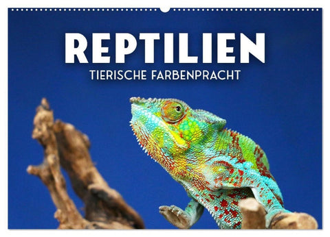 Reptilien - Tierische Farbenpracht (Wandkalender 2027 DIN A2 quer), CALVENDO Monatskalender