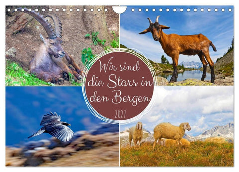 Wir sind die Stars in den Bergen (Wandkalender 2027 DIN A4 quer), CALVENDO Monatskalender