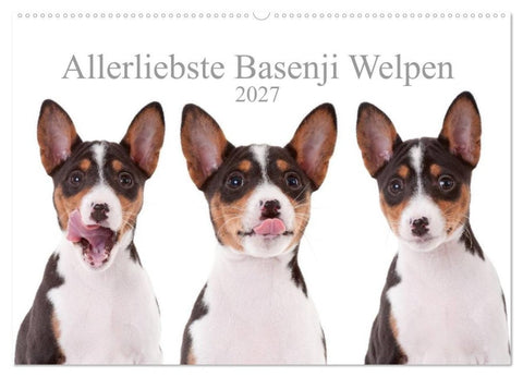 Allerliebste Basenji Welpen 2027 (Wandkalender 2027 DIN A2 quer), CALVENDO Monatskalender