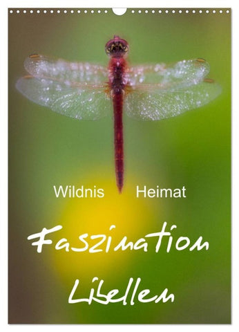 Faszination Libellen - Wildnis Heimat (Wandkalender 2027 DIN A3 hoch), CALVENDO Monatskalender
