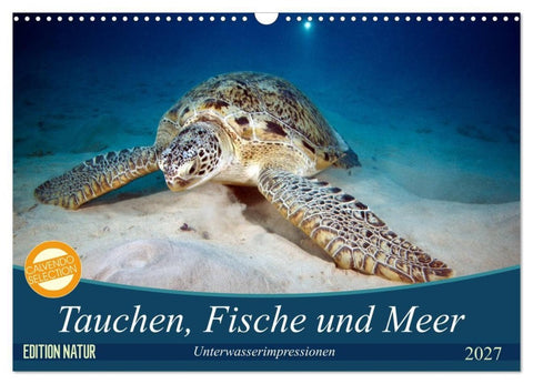 Tauchen, Fische und Meer (Wandkalender 2027 DIN A3 quer), CALVENDO Monatskalender