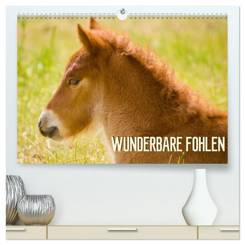 Wunderbare Fohlen (hochwertiger Premium Wandkalender 2027 DIN A2 quer), Kunstdruck in Hochglanz
