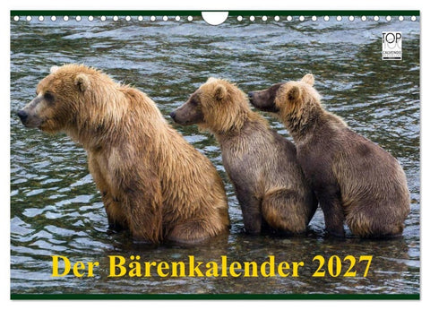 Der Bärenkalender 2027 (Wandkalender 2027 DIN A4 quer), CALVENDO Monatskalender