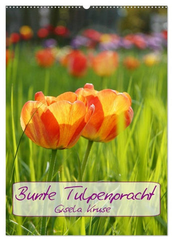 Bunte Tulpenpracht (Wandkalender 2027 DIN A2 hoch), CALVENDO Monatskalender
