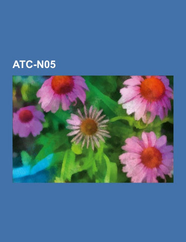 ATC-N05