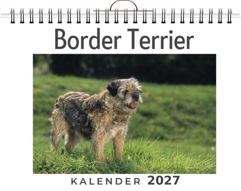 Border Terrier