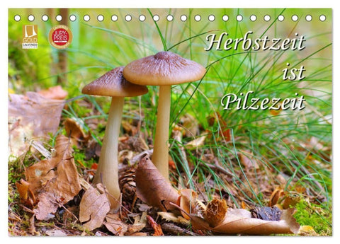 Herbstzeit ist Pilzezeit (Tischkalender 2027 DIN A5 quer), CALVENDO Monatskalender