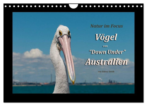 Vögel von "Down Under" Australien (Wandkalender 2026 DIN A4 quer), CALVENDO Monatskalender