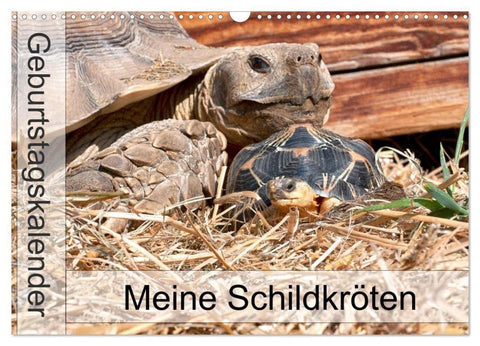 Meine Schildkröten - Geburtstagskalender (Wandkalender 2027 DIN A3 quer), CALVENDO Monatskalender