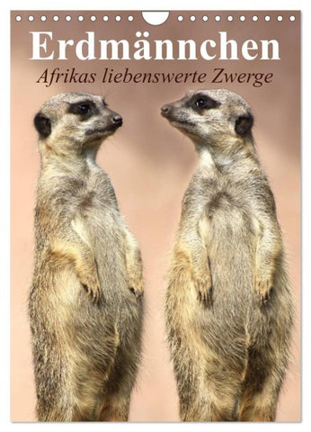 Erdmännchen - Afrikas liebenswerte Zwerge (Wandkalender 2027 DIN A4 hoch), CALVENDO Monatskalender