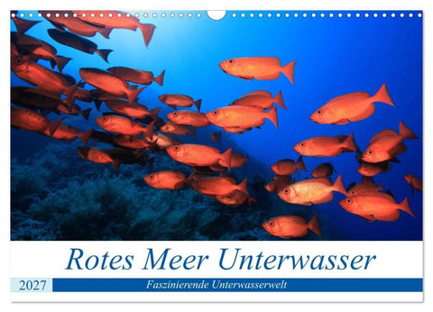 Rotes Meer Unterwasser (Wandkalender 2027 DIN A3 quer), CALVENDO Monatskalender