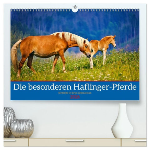 Die besonderen Haflinger-Pferde (hochwertiger Premium Wandkalender 2026 DIN A2 quer), Kunstdruck in Hochglanz