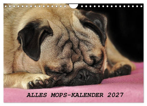 Alles Mops-Kalender 2027 (Wandkalender 2027 DIN A4 quer), CALVENDO Monatskalender