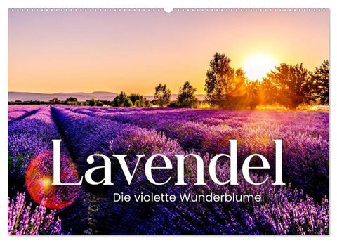 Lavendel - Die violette Wunderblume (Wandkalender 2027 DIN A2 quer), CALVENDO Monatskalender