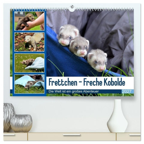 Frettchen - Freche Kobolde (hochwertiger Premium Wandkalender 2027 DIN A2 quer), Kunstdruck in Hochglanz