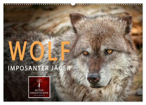 Wolf - Imposanter Jäger (Wandkalender 2027 DIN A2 quer), CALVENDO Monatskalender