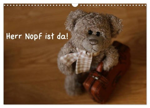 Herr Nopf ist da! (Wandkalender 2026 DIN A3 quer), CALVENDO Monatskalender