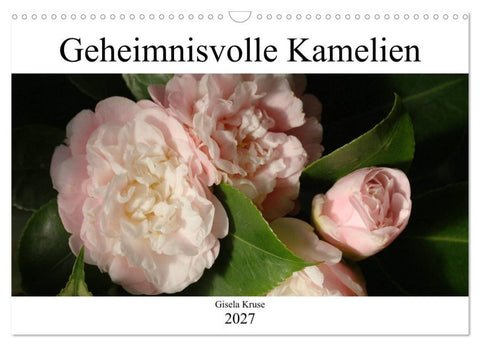 Geheimnisvolle Kamelien (Wandkalender 2027 DIN A3 quer), CALVENDO Monatskalender