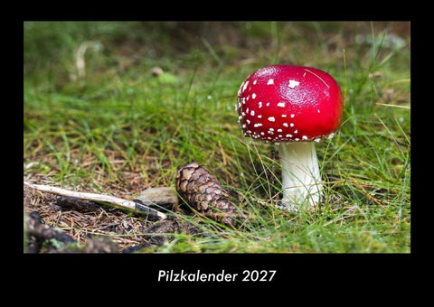 Pilzkalender 2027 Fotokalender DIN A3