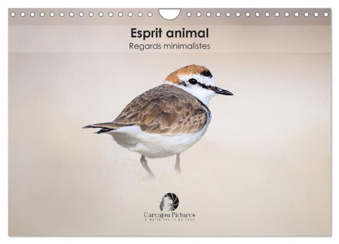 Esprit animal - Regards minimalistes (Calendrier mural 2027 DIN A4 vertical), CALVENDO calendrier mensuel