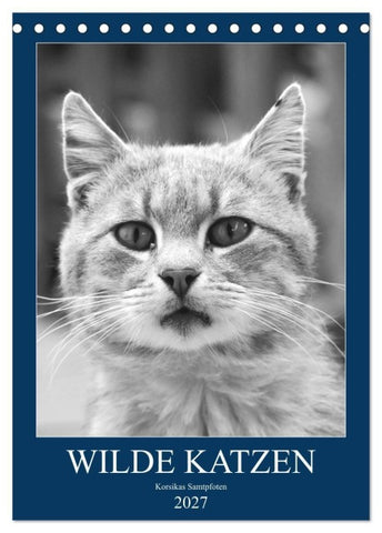 Wilde Katzen - Korsikas Samtpfoten (Tischkalender 2027 DIN A5 hoch), CALVENDO Monatskalender