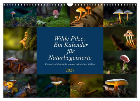 Wilde Pilze: Ein Kalender für Naturbegeisterte (Wandkalender 2027 DIN A3 quer), CALVENDO Monatskalender