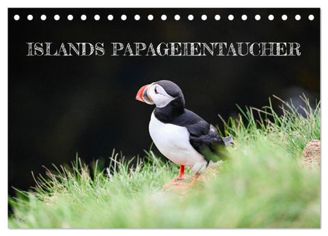 Islands Papageientaucher (Tischkalender 2026 DIN A5 quer), CALVENDO Monatskalender