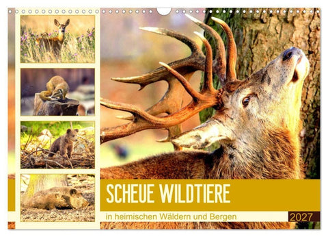 Scheue Wildtiere in heimischen Wäldern und Bergen (Wandkalender 2027 DIN A3 quer), CALVENDO Monatskalender
