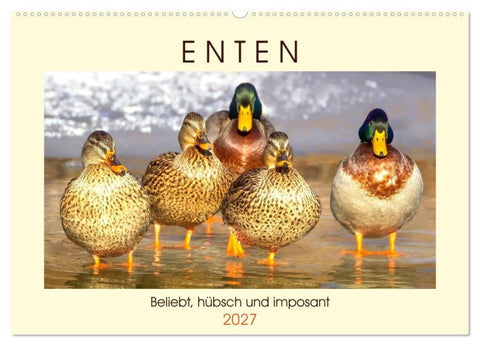 Enten. Beliebt, hübsch und imposant (Wandkalender 2027 DIN A2 quer), CALVENDO Monatskalender