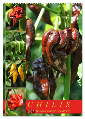 Chilis - Höllisch scharfe Früchtchen (Wandkalender 2027 DIN A2 hoch), CALVENDO Monatskalender