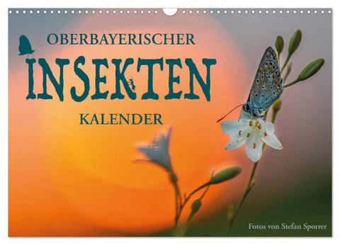 Oberbayerischer Insekten Kalender (Wandkalender 2027 DIN A3 quer), CALVENDO Monatskalender
